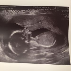 Meet your Posher, Molly